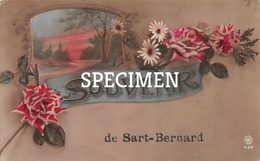 Souvenir De Sart-Bernard - Assesse