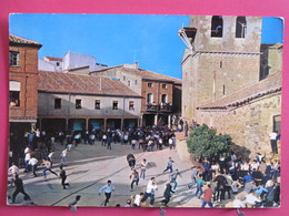 Visuel Très Peu Courant - Espagne - Venavente - Fiesta Del Toro Enamorado - Recto Verso - Zamora