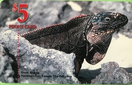 BAHAMAS  -  Phonecard  -  Batelco  - Iguane  -  $ 5 - Bahamas