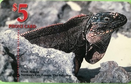 BAHAMAS  -  Phonecard  -  Batelco  - Iguane  -  $ 5 - Bahama's