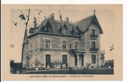 CPA 49 MONTREUIL BELLAY Château De La Rousselière - Montreuil Bellay