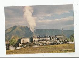 CHEMIN DE FER D'AFRIQUE DU SUD VAPEURS EN SURSIS LA GARRAT 4059 SARL ANTILOPE TRAINS - Afrique Du Sud