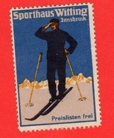 9 Poster Stamps Advertising Cinderellas Sport Ski Skiing Schweiz Wintersport Snow Humor Graubünden Bayer 1914 Innsbruck - Wintersport