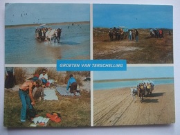 N80 Ansichtkaart Groeten Van Terschelling - 1979 - Terschelling