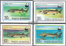 Romania 5034-5037 (complete Issue) Unmounted Mint / Never Hinged 1994 Worldwide Conservation: Sturgeons - Ungebraucht