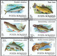 Romania 4776-4781 (complete Issue) Unmounted Mint / Never Hinged 1992 Fish - Ungebraucht