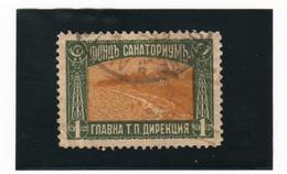 BULGARIE    1930-31  Express  Y.T. N° 11  Oblitéré - Express Stamps