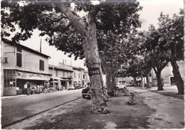 FRANCE   CARTE POSTALE DE  LAPALUD   LE CENTRE - Lapalud