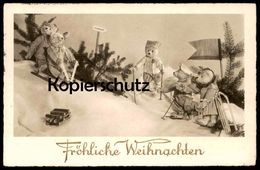 ALTE POSTKARTE TEDDYBÄREN RODELN VERMENSCHLICHT Teddy Bär Beer Bear Ours Oso Nounours Bären Sleigh Luge Ansichtskarte AK - Jeux Et Jouets