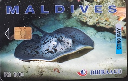 MALDIVES  -  Phonecard  -  DHIRAAGU  -  Ray  -  Rf  100 - Maldiven