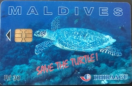 MALDIVES  -  Phonecard  -  DHIRAAGU  -  Save The Turtle  -  Rf 30 - Maldiven