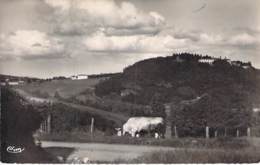 69 - LES SAUVAGES Vue Générale De N-D De La Roche - CPSM Village (600 Habitants ) Dentelée N/B Format CPA - Rhône - Autres & Non Classés