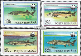 Rumänien 5034-5037 (kompl.Ausg.) Postfrisch 1994 Weltweiter Naturschutz: Störe - Ungebraucht