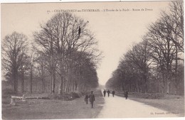 28 : CHATEAUNEUF-en-THYMERAIS : L'entrée De La Forét - Route De Dreux - Châteauneuf