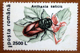 1996 ROMANIA Insetti Coleotteri Pasture Splendour Beetle (Anthaxia Salicis) - 2500L Nuovo - Ungebraucht