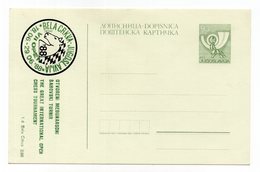 1988 YUGOSLAVIA, CHESS TOURNAMENT, BELA CRKVA, SERBIA, 93  DINARA, MINT STATIONERY CARD - Postwaardestukken