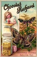 6 Chromo Litho Cards Chocolate SUCHARD Set 50  C1896 Butterflies Pappilion & Moths -- Fabrique Suisse Switserland VG - Suchard