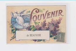 BEAUVOIR SUR NIORT SOUVENIR - Beauvoir Sur Niort