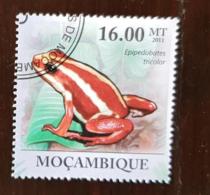 MOZAMBIQUE Grenouille, Frog, Rana 1 Valeur Oblitérée émise En 2011 - Frogs