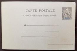 ST PIERRE ET MIQUELON. Type Groupe. Entier Postal Neuf. CARTE POSTALE 10c Bleu. Bel  état - Enteros Postales