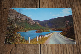 3643-              CANADA, NEWFOUNDLAND, CORNER BROOK, SHELL BIRD ISLAND - Sonstige & Ohne Zuordnung