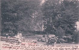 Zürich, Belvoir-Park + Cachet Linéaire THALWIL (17.8.1906) - Thalwil