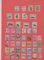 Colonies Anglaises - Bornéo Du Nord - Malacca - Collection Vendue Page Par Page - B/TB - Autres & Non Classés