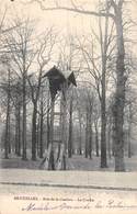 20-5096 : BRUXELLES. BOIS DE LA CAMBRE. LA CLOCHE. - Forêts, Parcs, Jardins