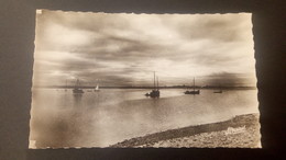 Delcampe - Damgan - Port De Pénerf, Effet De Nuit - Damgan