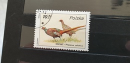 Polska Poland 1986 Bird Fauna Used - Paons