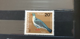 Bulgaria 1984 Bird Fauna Used - Pigeons & Columbiformes