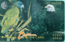 SAINTE LUCIE  -  Phonecard  - Cable & Wireless   -  Eagle And Amazon  -  EC $ 53  -  US $ 20 - Saint Lucia