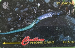 SAINTE LUCIE  -  Phonecard  - Cable & Wireless   - St Lucia Lizard -  EC $ 10 - St. Lucia