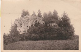 CHATEAU-VILAIN   JURA  39- CPA  RUINES DU CHATEAU - Autres & Non Classés