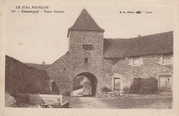 CESANCEY   JURA  39- CPA  VIEUX DONJON - Autres & Non Classés