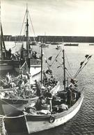 LESCONIL - Le Port, Bateaux De Pêche. - Lesconil