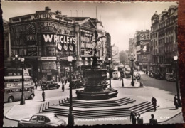 Photo Cpm, PICCADILLY CIRCUS, LONDON, Vintage, Animée-animated,  Ref G 7364 " This Is A Real Photograph", Used, ENGLAND - Piccadilly Circus