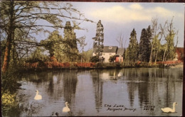 Cpsm, REIGATE - THE LAKE, REIGATE PRIORY - éd Frith, Rgt 96, Unused, ENGLAND - Surrey