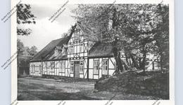 2055 AUMÜHLE - FRIEDRICHSRUH, Bismarck-Museum, 1959 - Friedrichsruh