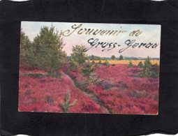 92787    Germania,   Souvenir De Gross-Gerau,  NV - Gross-Gerau