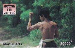 TARJETA DE VIETNAM DE MARTIAL ARTS (VIETTEL) ARTES MARCIALES - Viêt-Nam