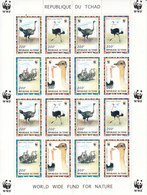 Chad, 1996, WWF, Ostriches, Ostrich, Sheetlet Of 4x Sets, MNH** - Straussen- Und Laufvögel