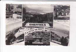 CPA PHOTO SHEFFIELD, MULTIVUES - Sheffield