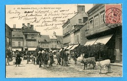 18 - Cher -  Sancoins - Le Marche Aux Veaux  (0850) - Sancoins