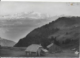 Col De La Faucille  Et Le Mont Blanc - Gex