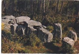 56 - PRES D'ERDEVEN  - DOLMEN DE CRUCUNO - ENVIRONS DE CARNAC - Erdeven