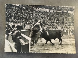 CPM CORRIDA LE TORO CHARGEANTLE PICADOR - Corrida