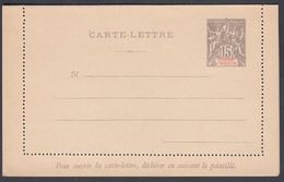 1892. SAINT-PIERRE-MIQUELON. CARTE -LETTRE 15 C. Gray.  () - JF321835 - Storia Postale