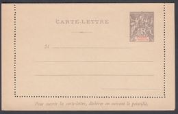 1892. SAINT-PIERRE-MIQUELON. CARTE -LETTRE 15 C. Gray.  () - JF321835 - Covers & Documents
