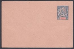 1894. SAINT-PIERRE-MIQUELON. ENVELOPE 25 C. Blue. 115 X 75 Mm.  () - JF321923 - Storia Postale